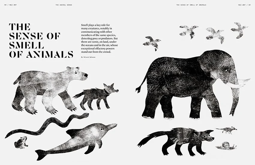 The Animal Sense, Nez 07 Spring 2019 - Image 13