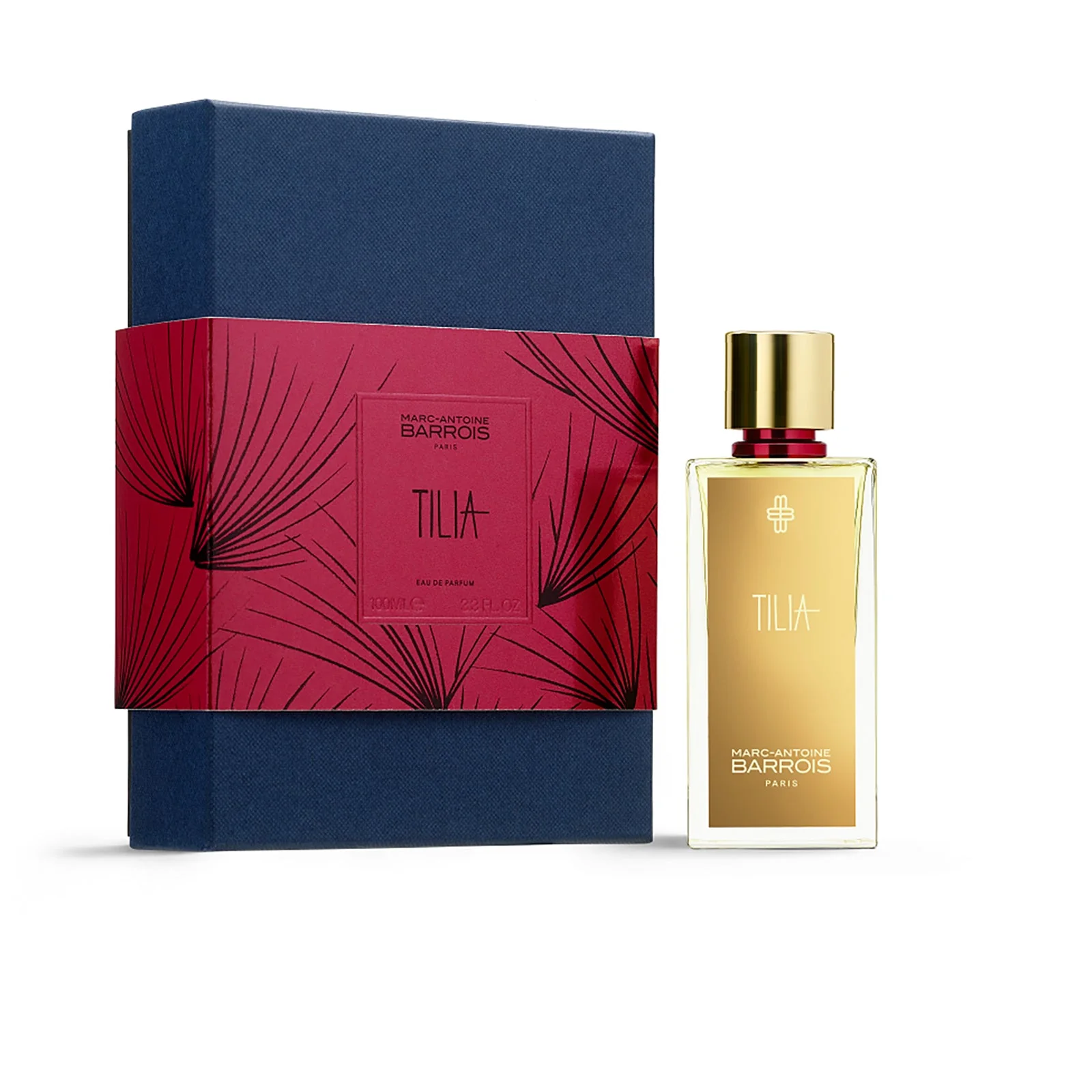 TILIA - Image 3