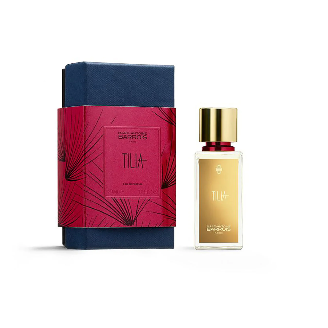 TILIA - Image 4