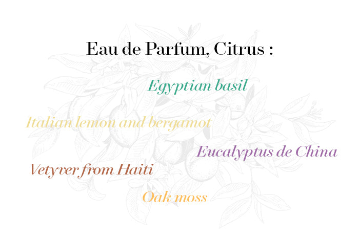 Verveine d'Eté - Image 3