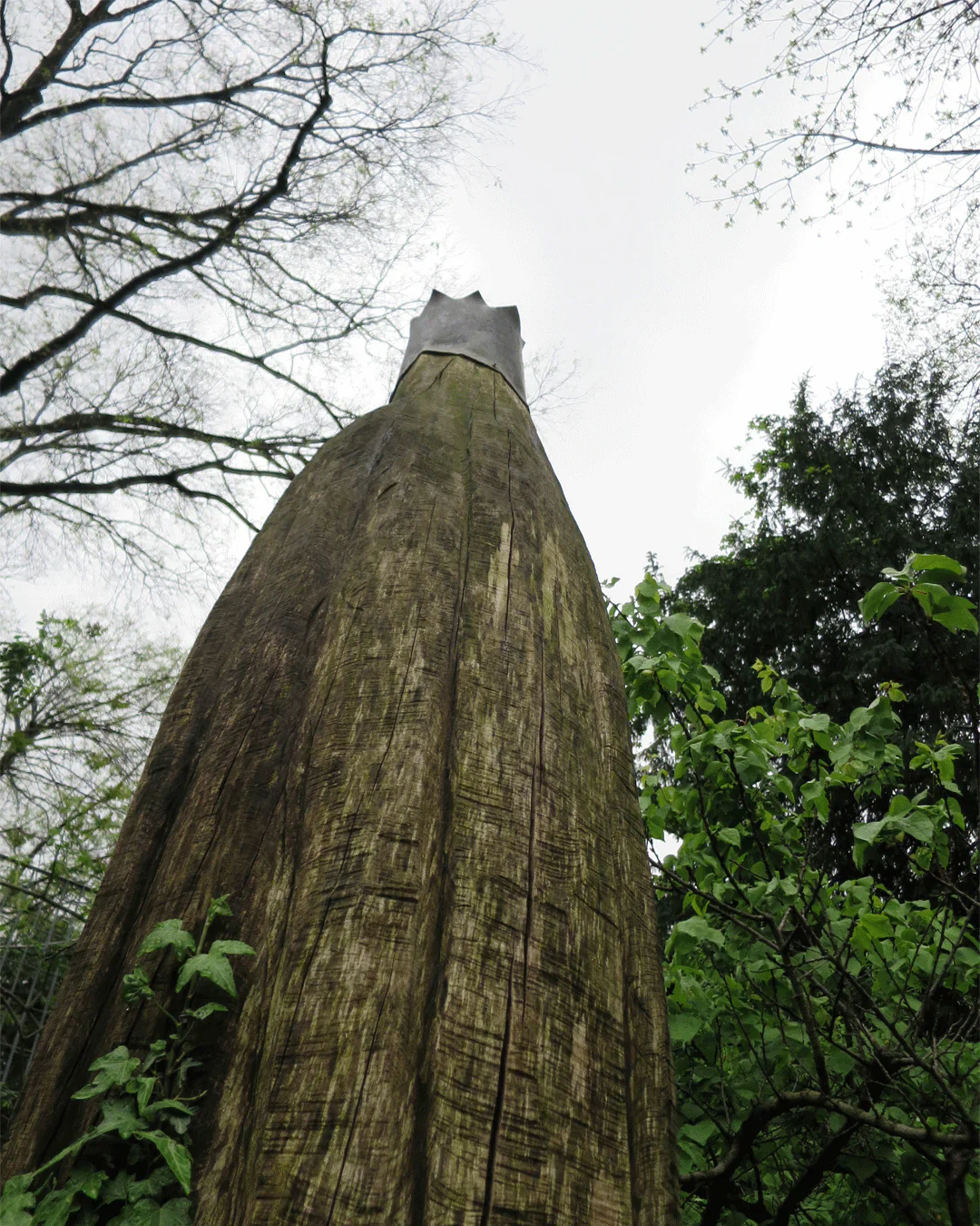 Viride - Image 3